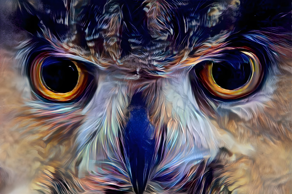 Owl