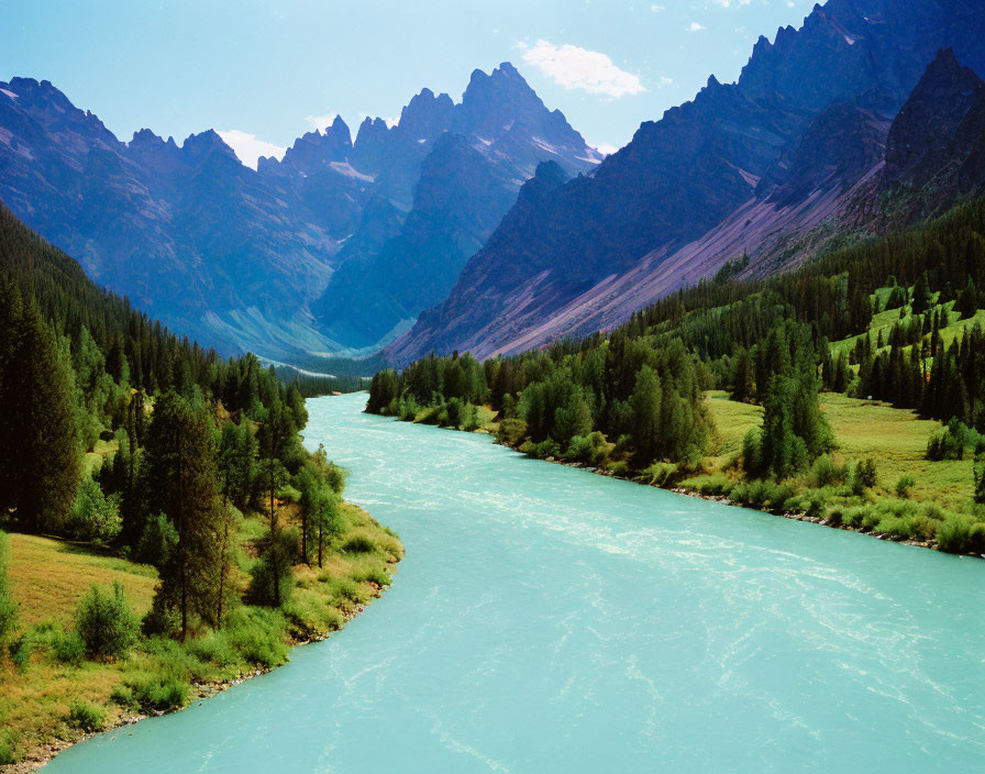 Turquoise River in Lush Valley with Forests and Mountains