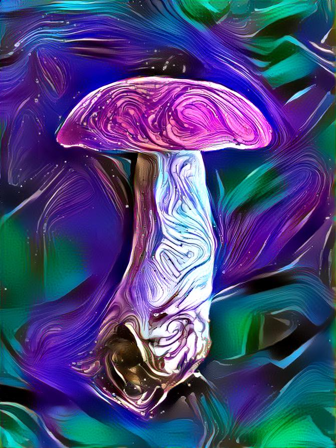 mushroom #004