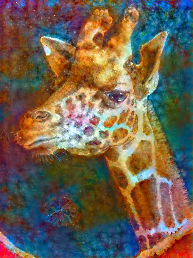 Giraffe 04