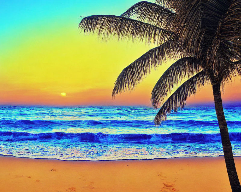 Colorful Sunset Beach Scene with Palm Tree Silhouette & Waves