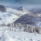 Snow-covered trees and cozy cottage in winter twilight