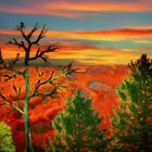 Vivid orange and red sunset over rugged canyon with silhouettes of trees