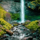 Enchanting woodland scene with waterfall, vibrant flora, moss-covered stones, serene pond