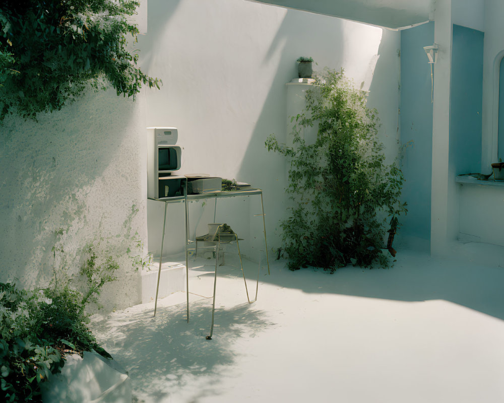 Tranquil outdoor scene with white wall, green plants, metal table, and cooking appliances