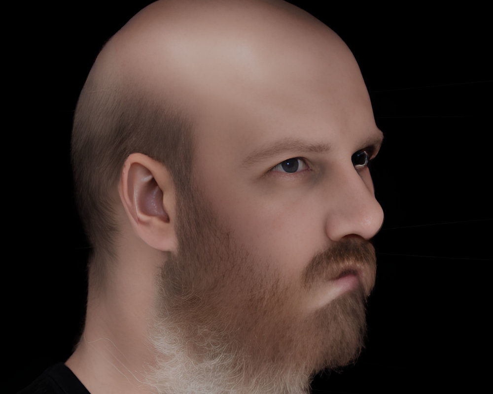 Bald Man with Beard in Stern Profile Against Black Background