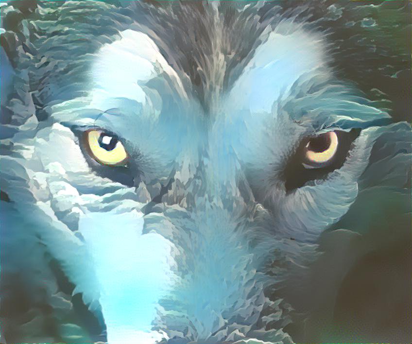 Wolf in the Night