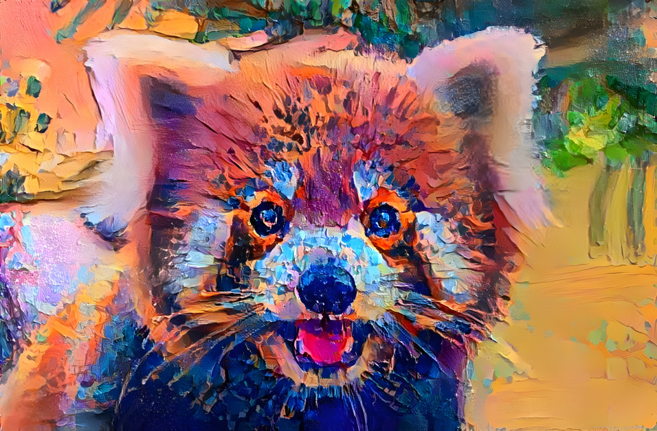 red panda 