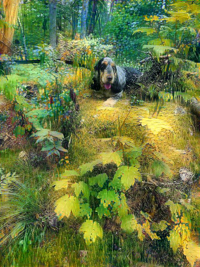 Dog on Moss