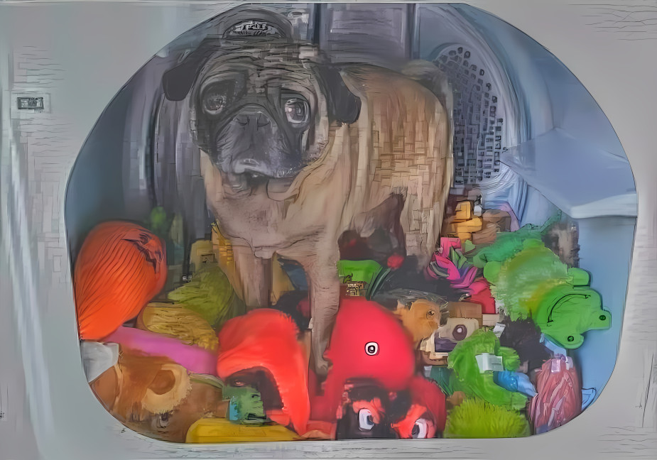 Pug in the toy machine