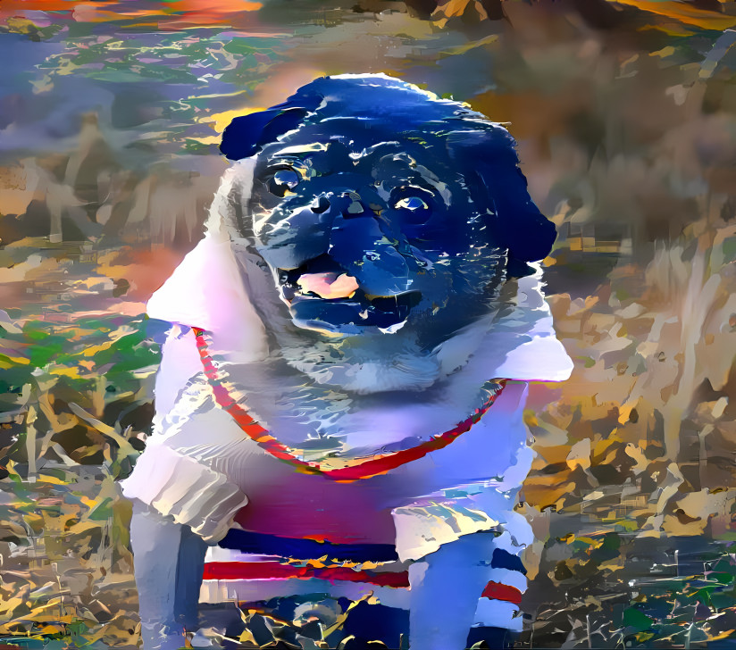 Preppy pug