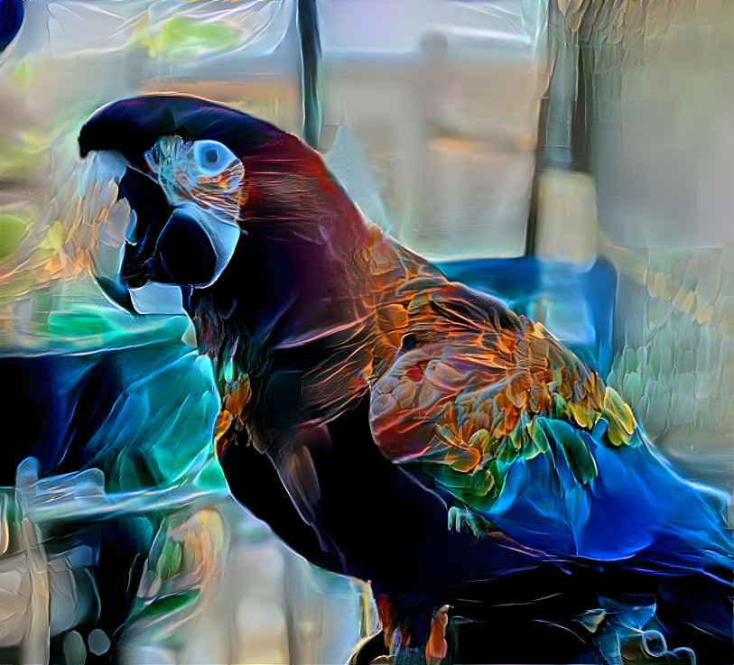 PARROT