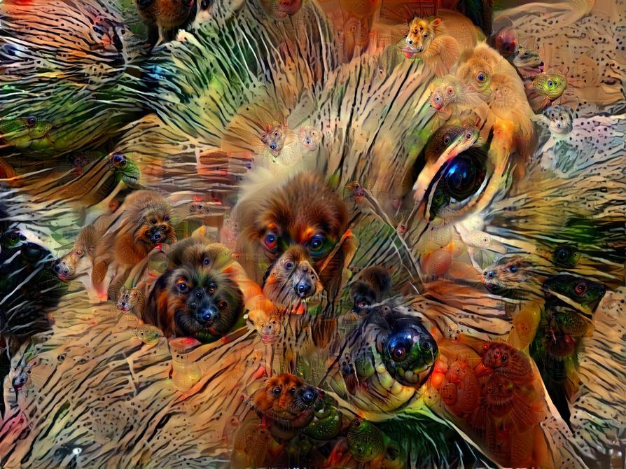 Cat deep dream