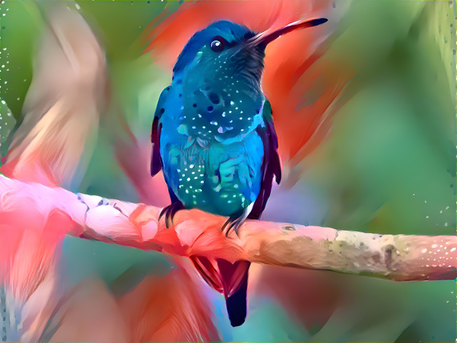 Hummingbird