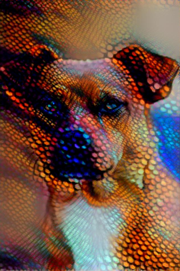 Psychedelic dog