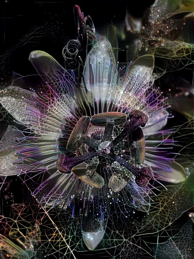 Obsidian Passionflower