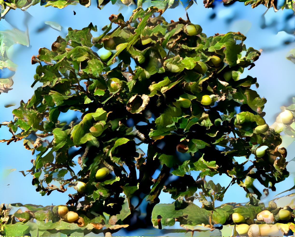 giant tiny oak tree, high quality