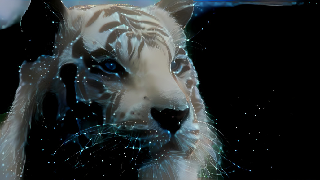 Galaxy Tiger