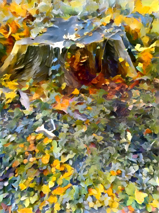 Fall leaves