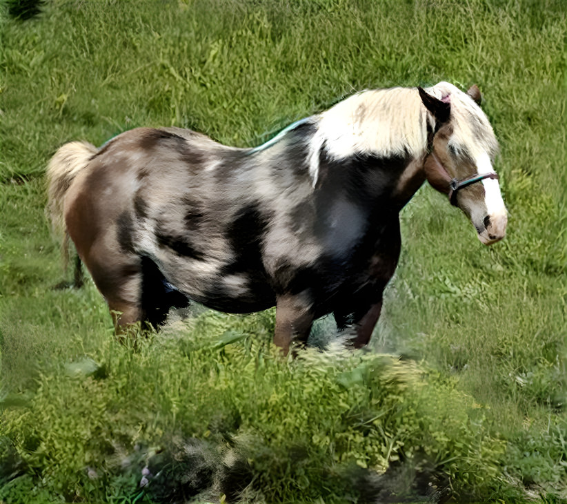 Calico OSP