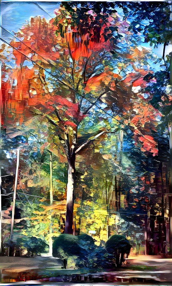 Fall scene