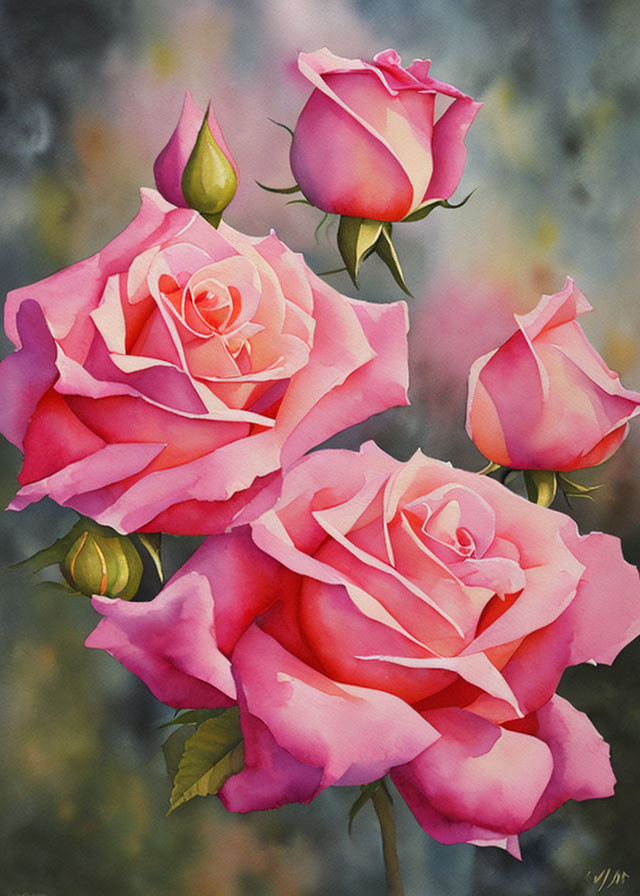 Vibrant pink roses in watercolor against textured grey background