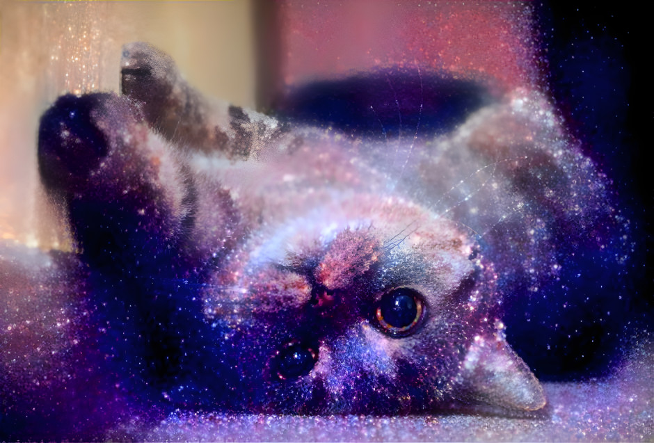 Galaxy Cat