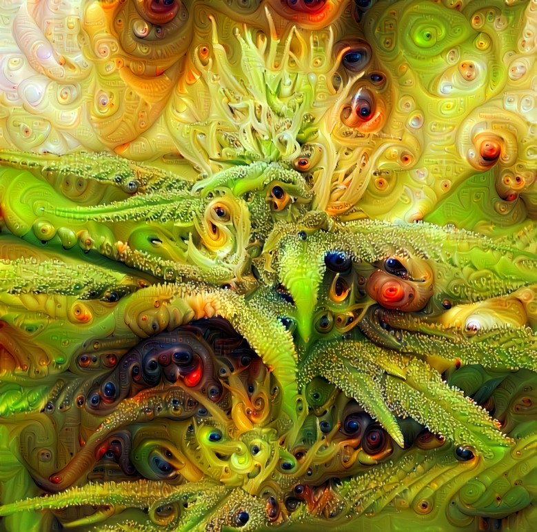 Thc