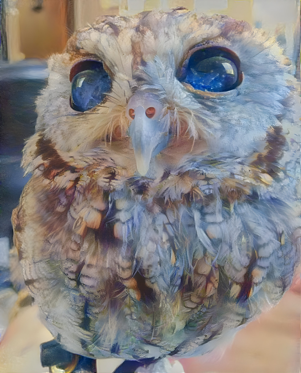 Blind Screech Owl