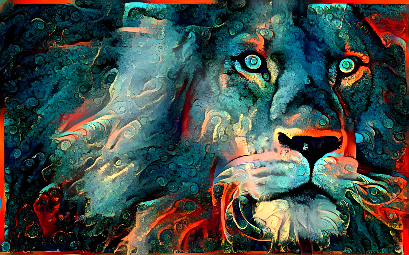 "Lion's Stare"