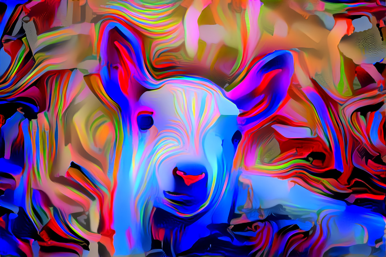 "Neon Lamb"