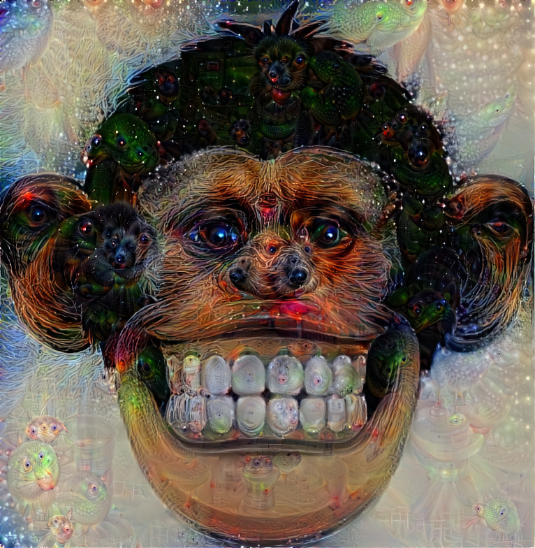 Funky Monkey