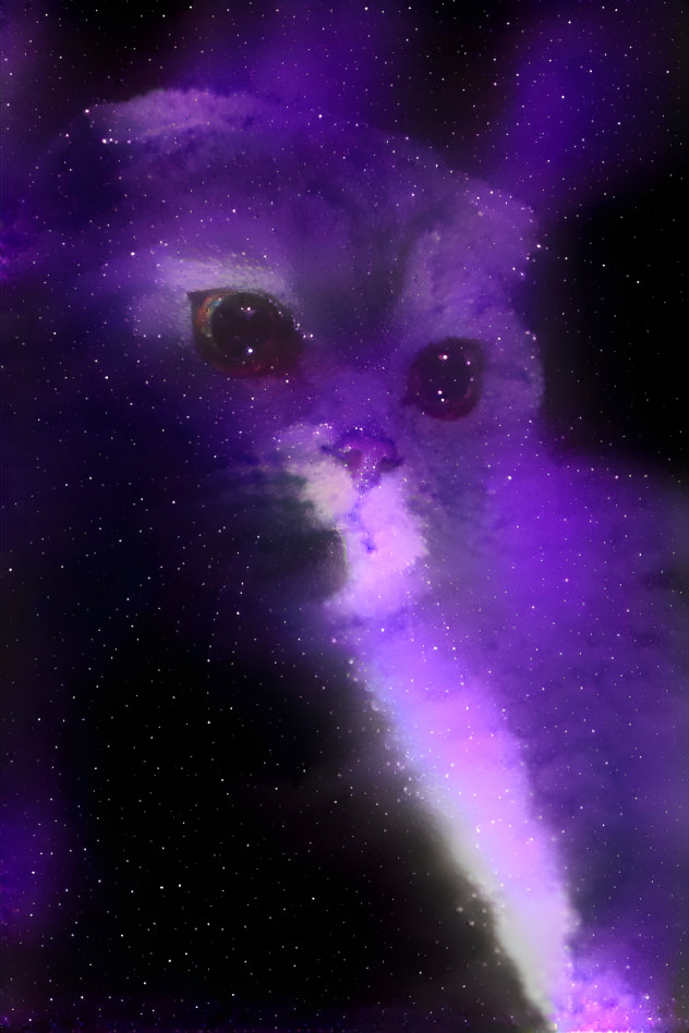 Cosmic Kitty