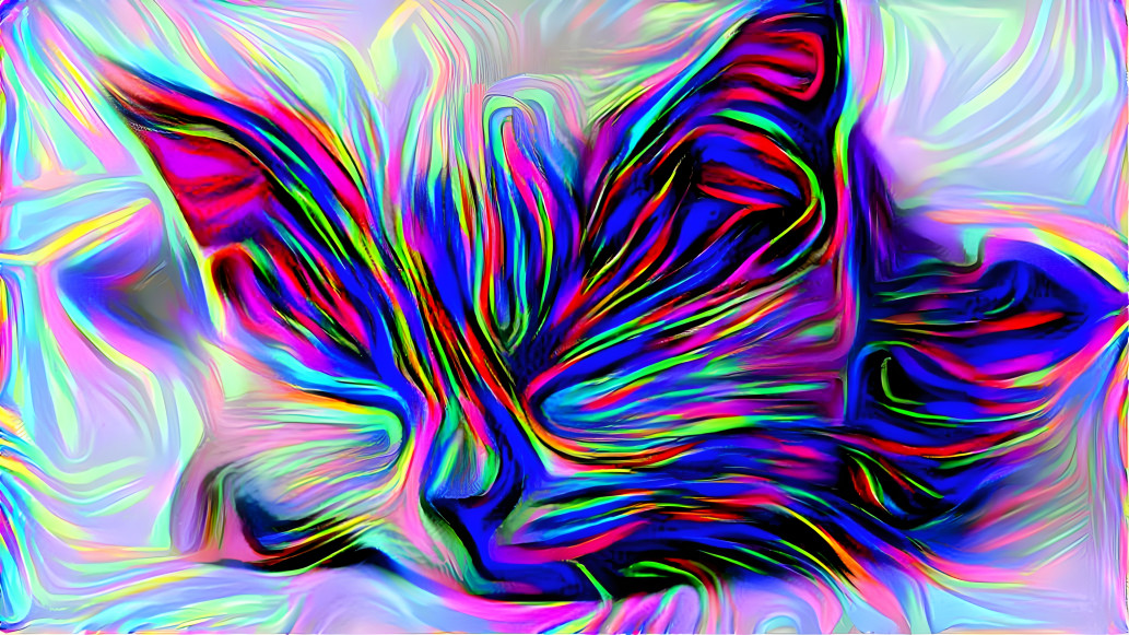 Trippy Kitty