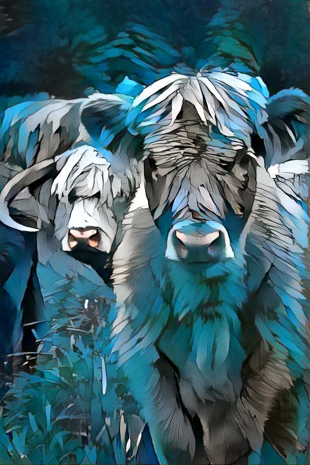 Curious Cows: Blue Moon