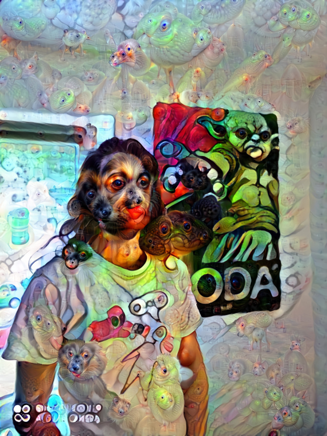 Trippy Oda