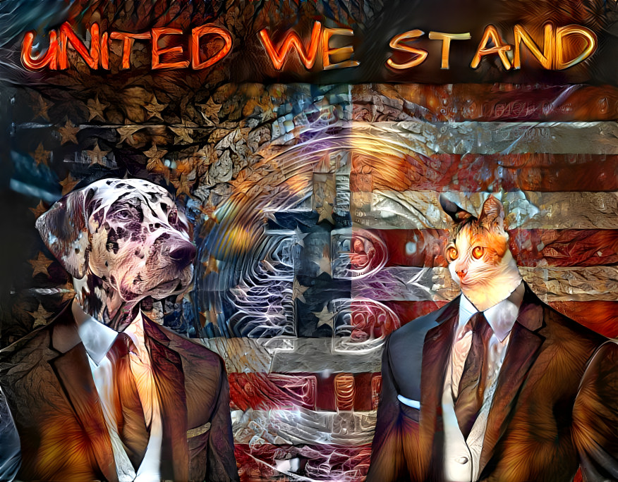 United we stand