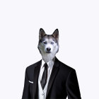 Anthropomorphic Wolf Character in Blue-Grey Suit with Red Tie