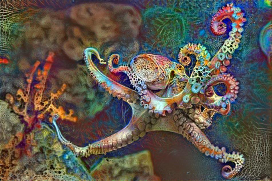 High Octopus