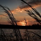 Serene sunset watercolor with reeds, mountains, vibrant sky