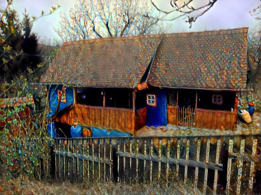 Casă albastră  /  Blue house