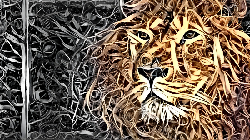 Lion 2