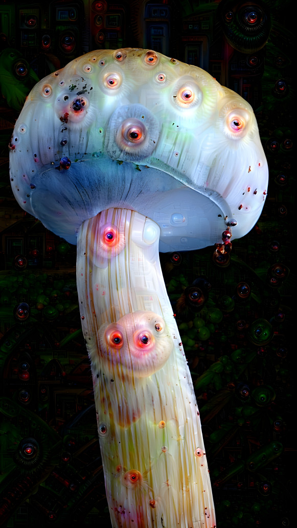 Psilocybe cubensis: Probably too "on the nose"