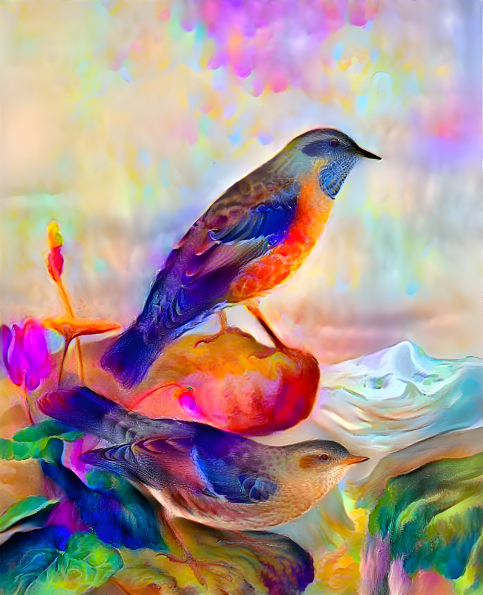 colorful bird