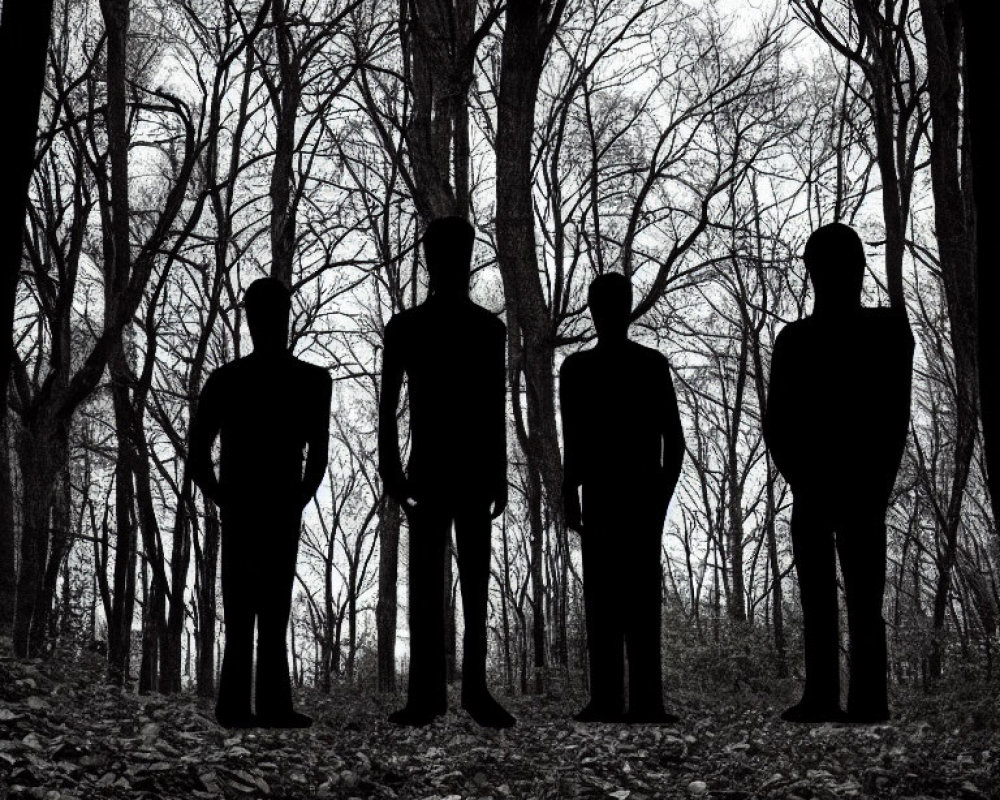 Four silhouettes in barren forest under bleak sky.