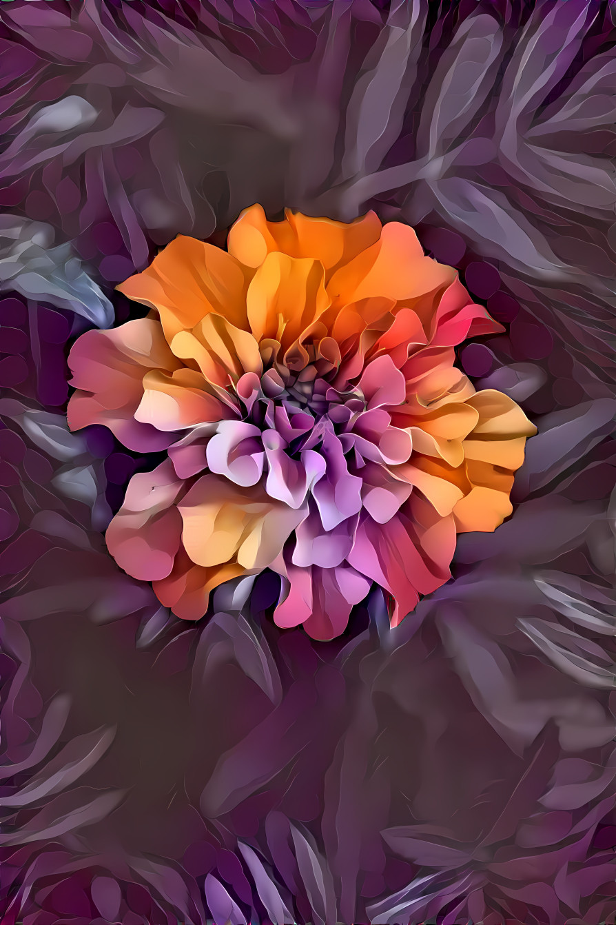 Carnation Creation