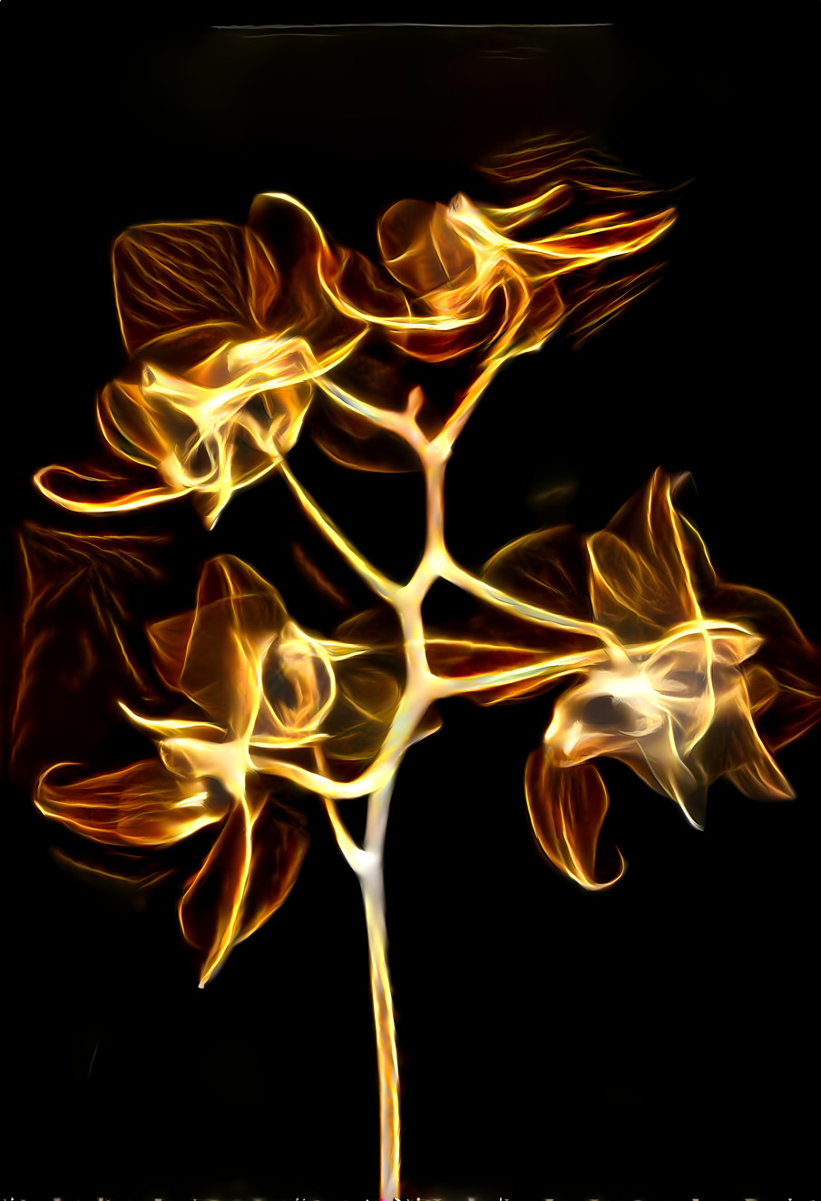 Visible Bouquet Flame