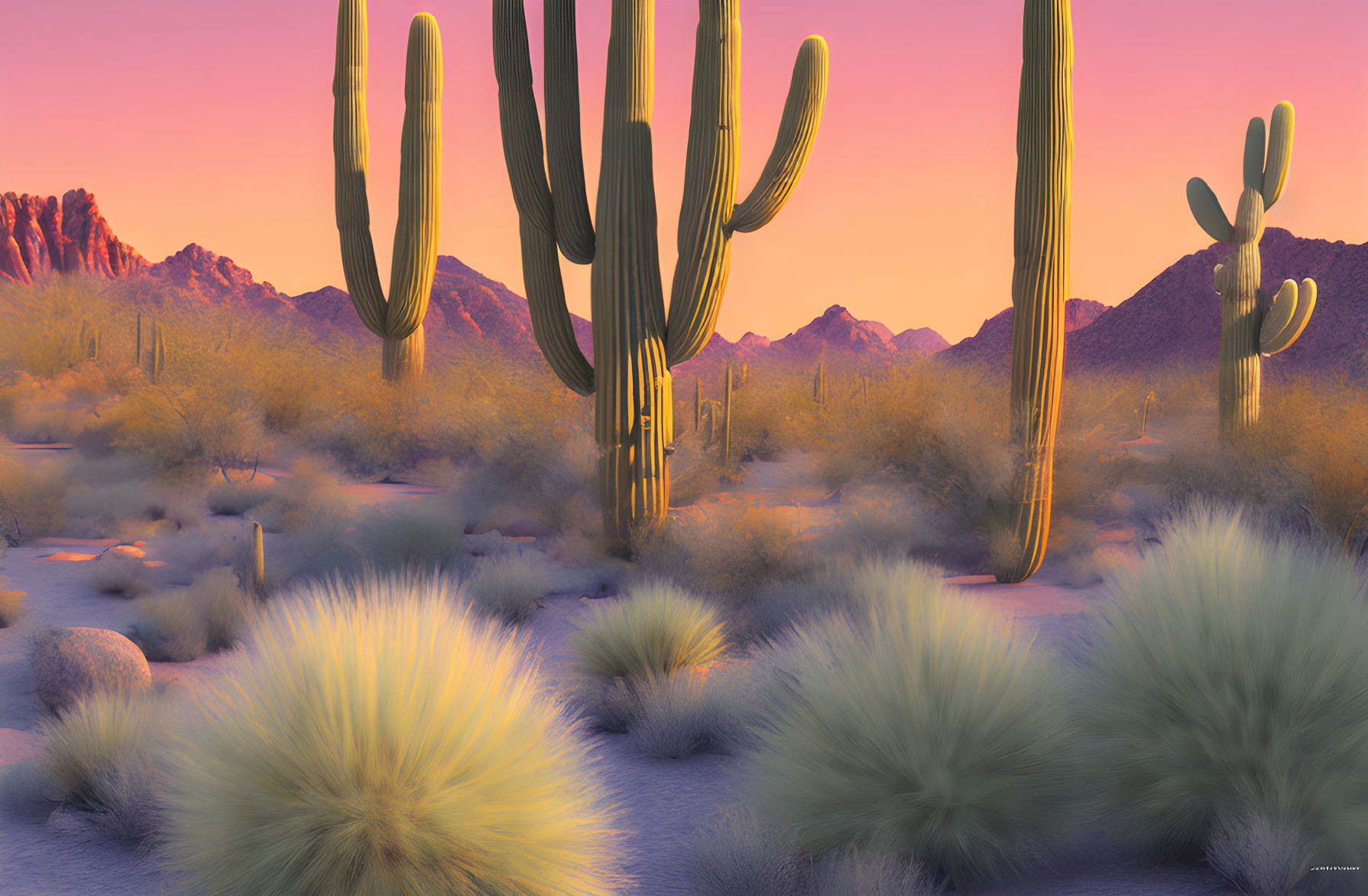 Desert landscape with towering cacti at sunset