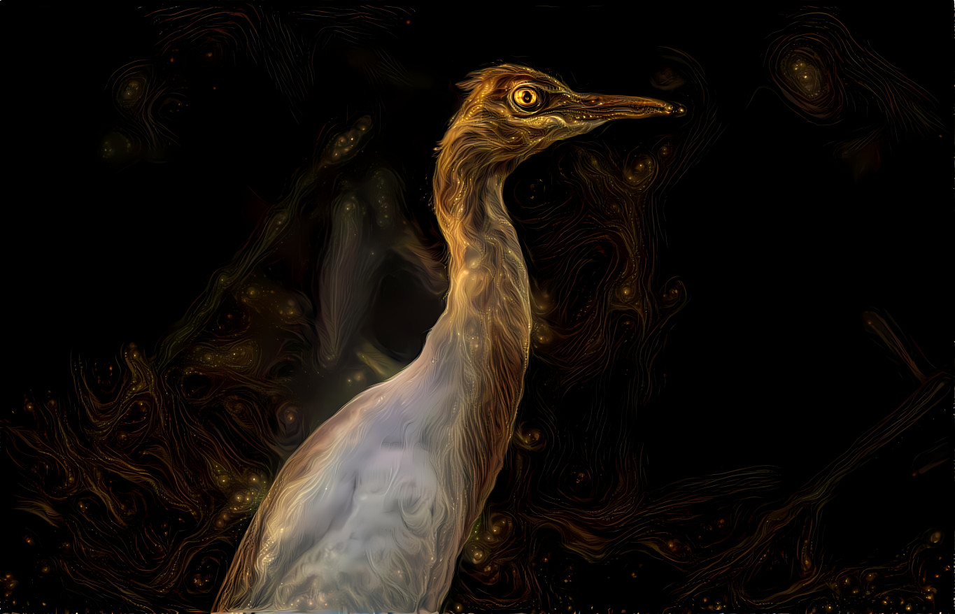 Southern Constellation Heron