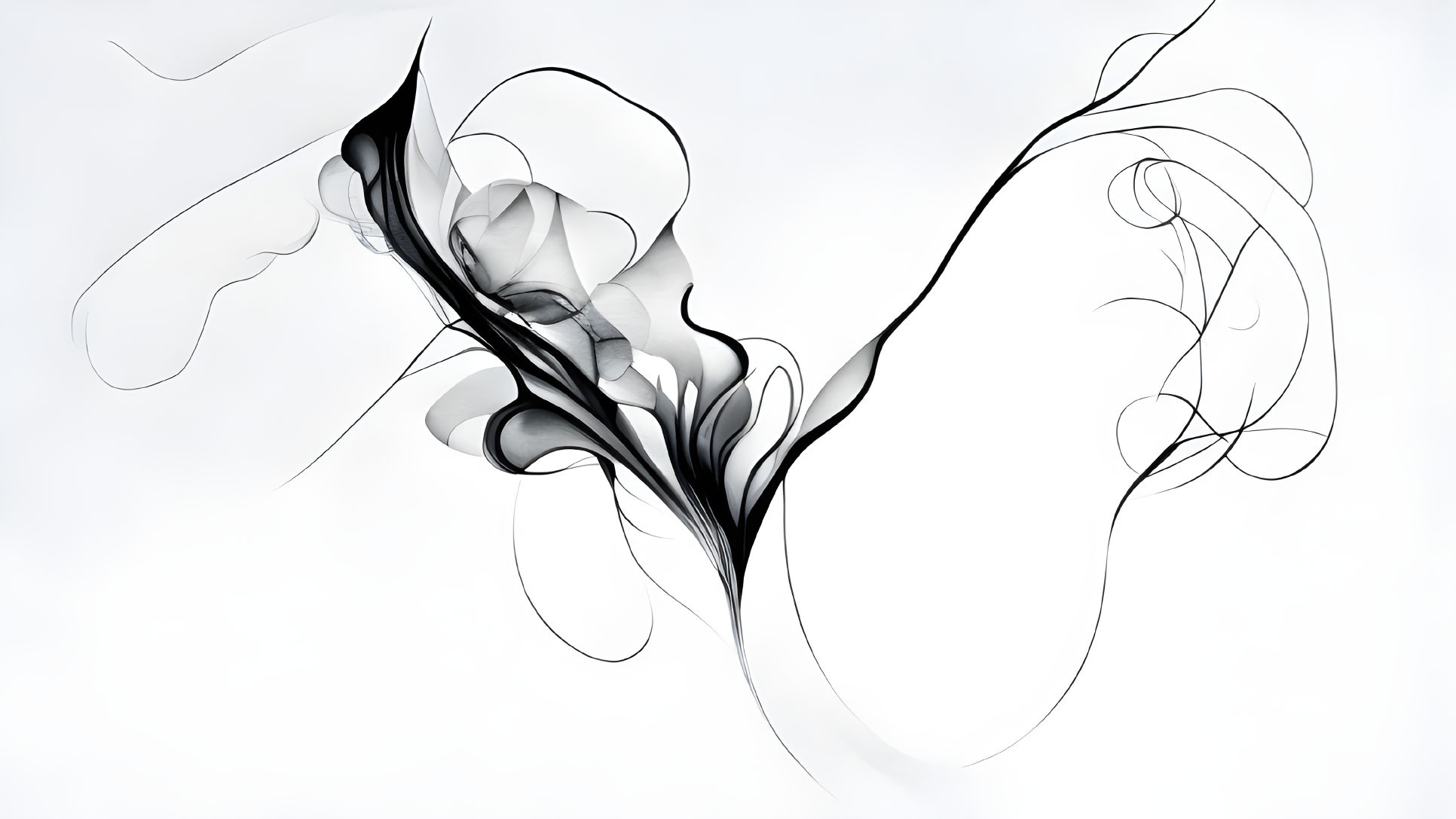 Abstract Floral-Like Design with Curving Black Lines on White Background